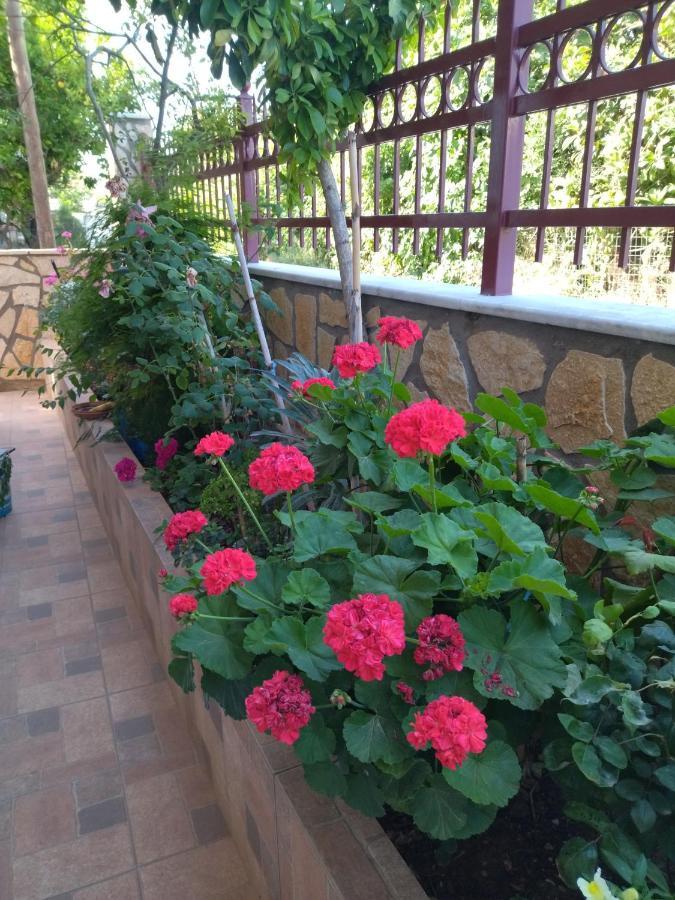 ווניטסה B&B One מראה חיצוני תמונה